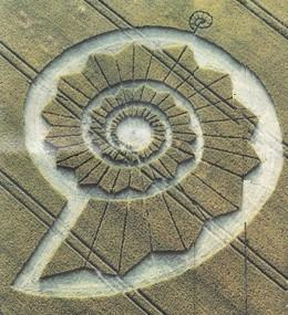  Golden Mean Seashell 