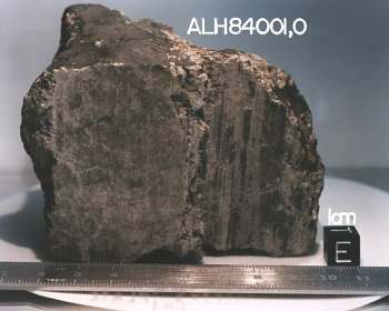  ALH84001 